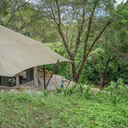 Dolly Farm & River Camp, Luxury Tents Usa River Extérieur photo