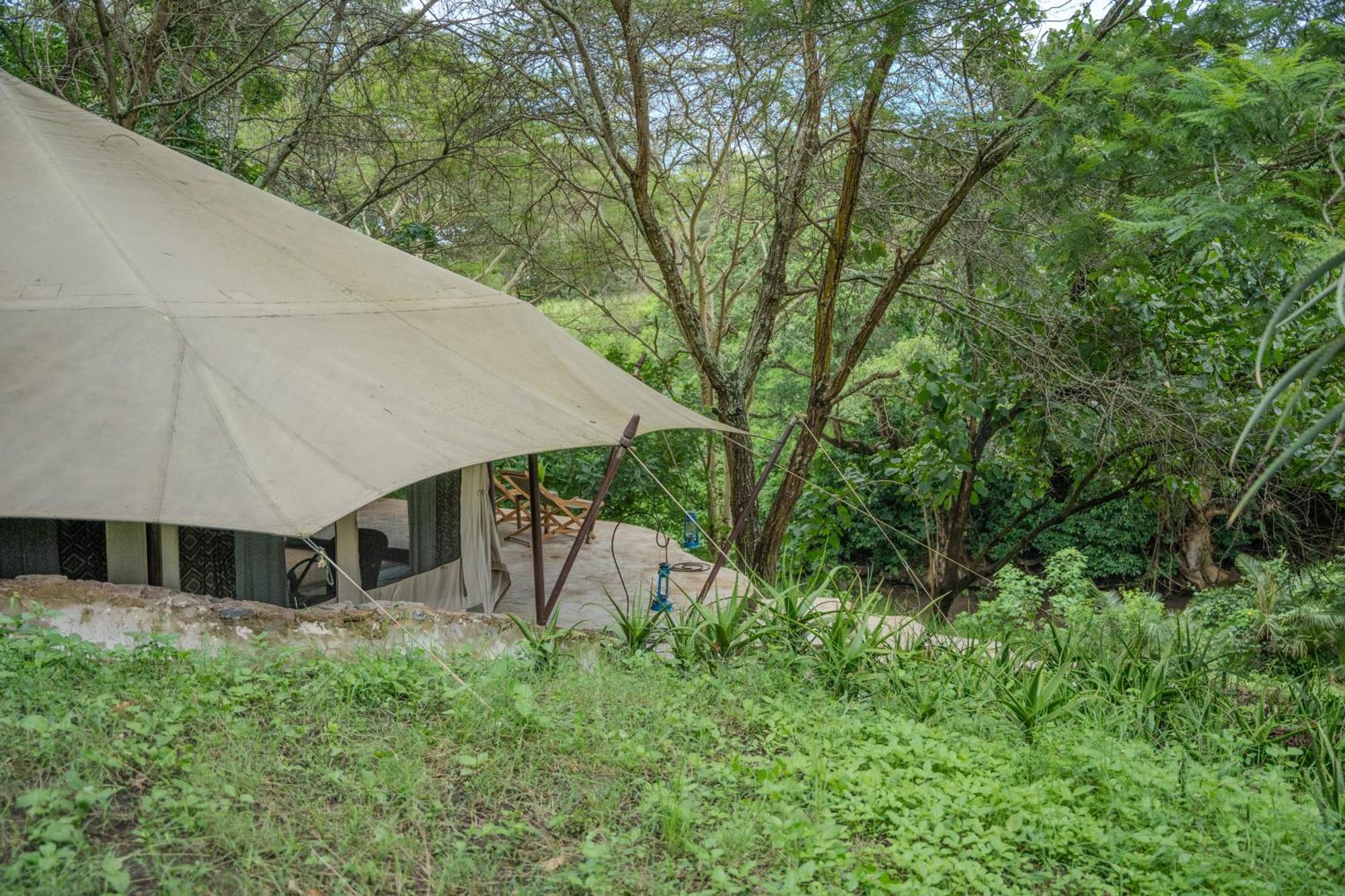 Dolly Farm & River Camp, Luxury Tents Usa River Extérieur photo