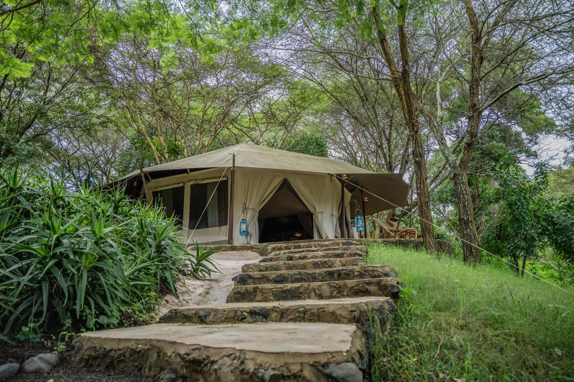 Dolly Farm & River Camp, Luxury Tents Usa River Extérieur photo