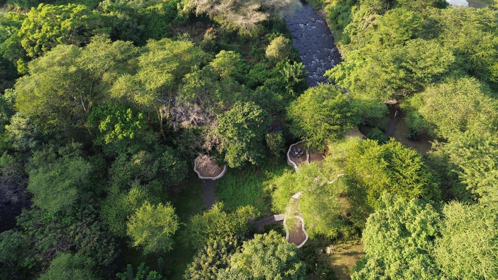Dolly Farm & River Camp, Luxury Tents Usa River Extérieur photo